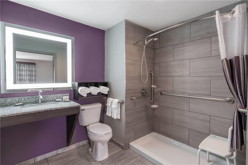 LA QUINTA INN STE GLENWOOD SPRINGS-guestroom-Guest Room,Bathroom,Shower,Accessibility,On-Site.jpg