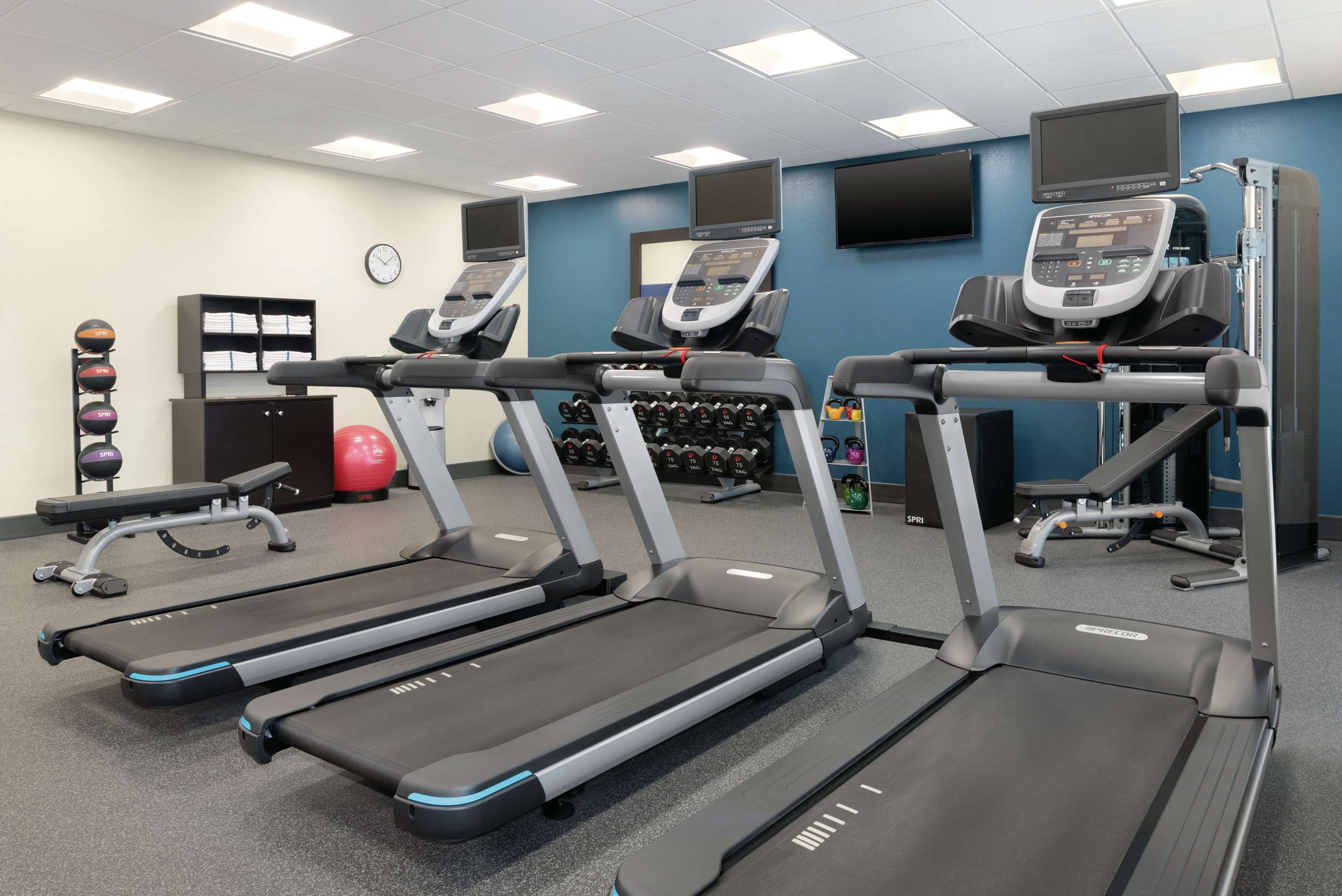 Health club fitness center gym