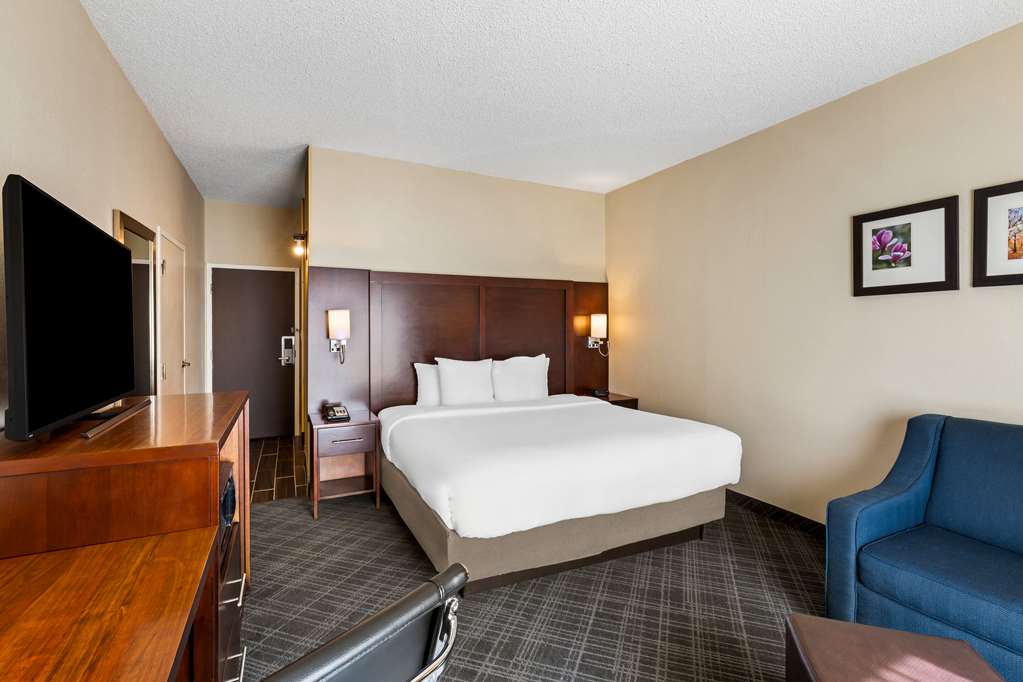 COMFORT INN ROSWELL-DUNWOODY-guestroom-Guest Room,On-Site.jpg