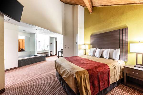  - Econo Lodge Inn & Suites McKinney