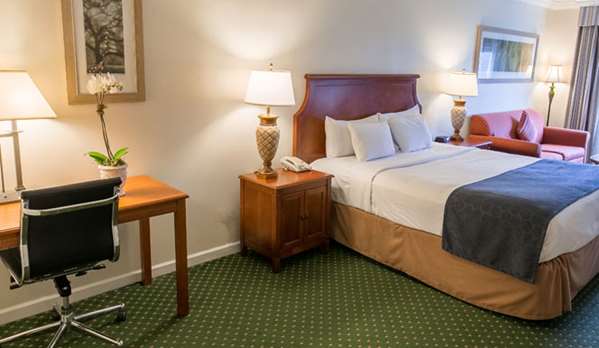  - Maison Dupuy French Quarter Hotel New Orleans