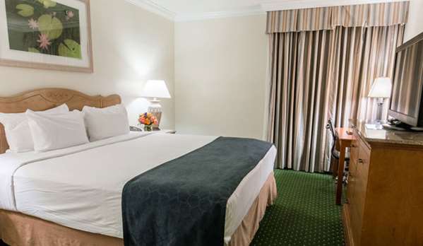  - Maison Dupuy French Quarter Hotel New Orleans