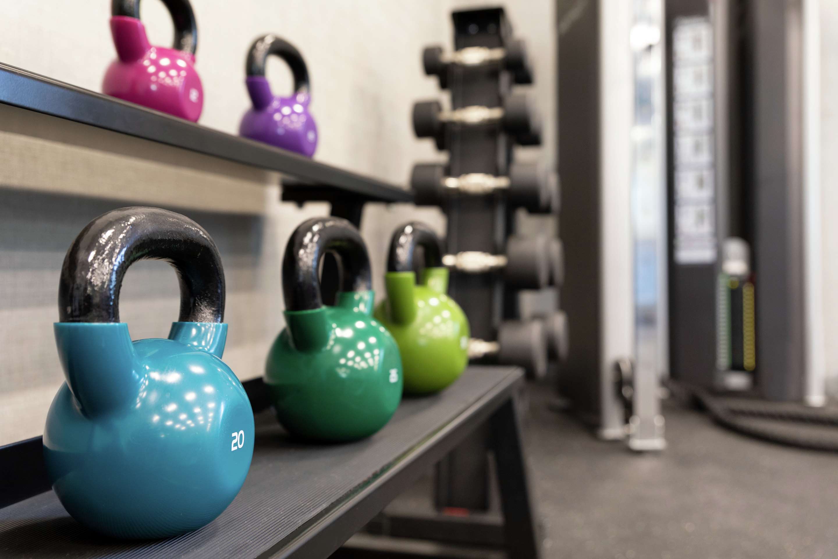 Health club fitness center gym