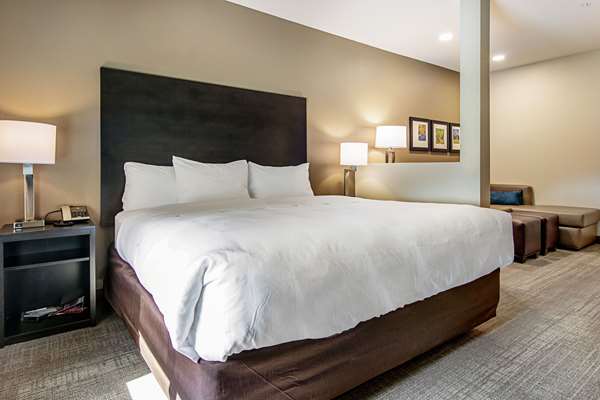 Suite - Comfort Suites Wooster