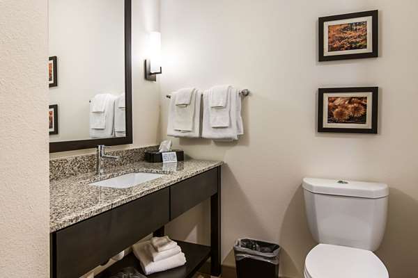 Suite - Comfort Suites Wooster