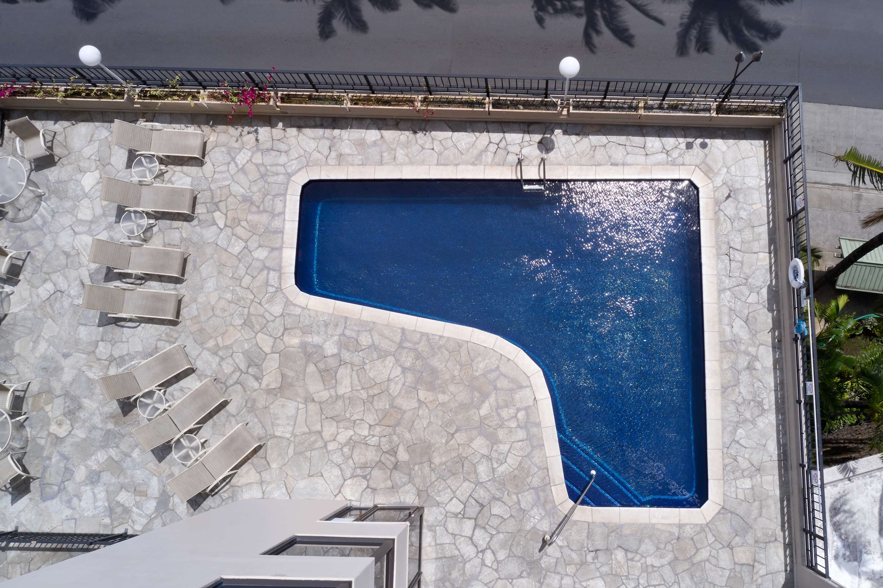 Aqua Palms Waikiki - Pool Overhead