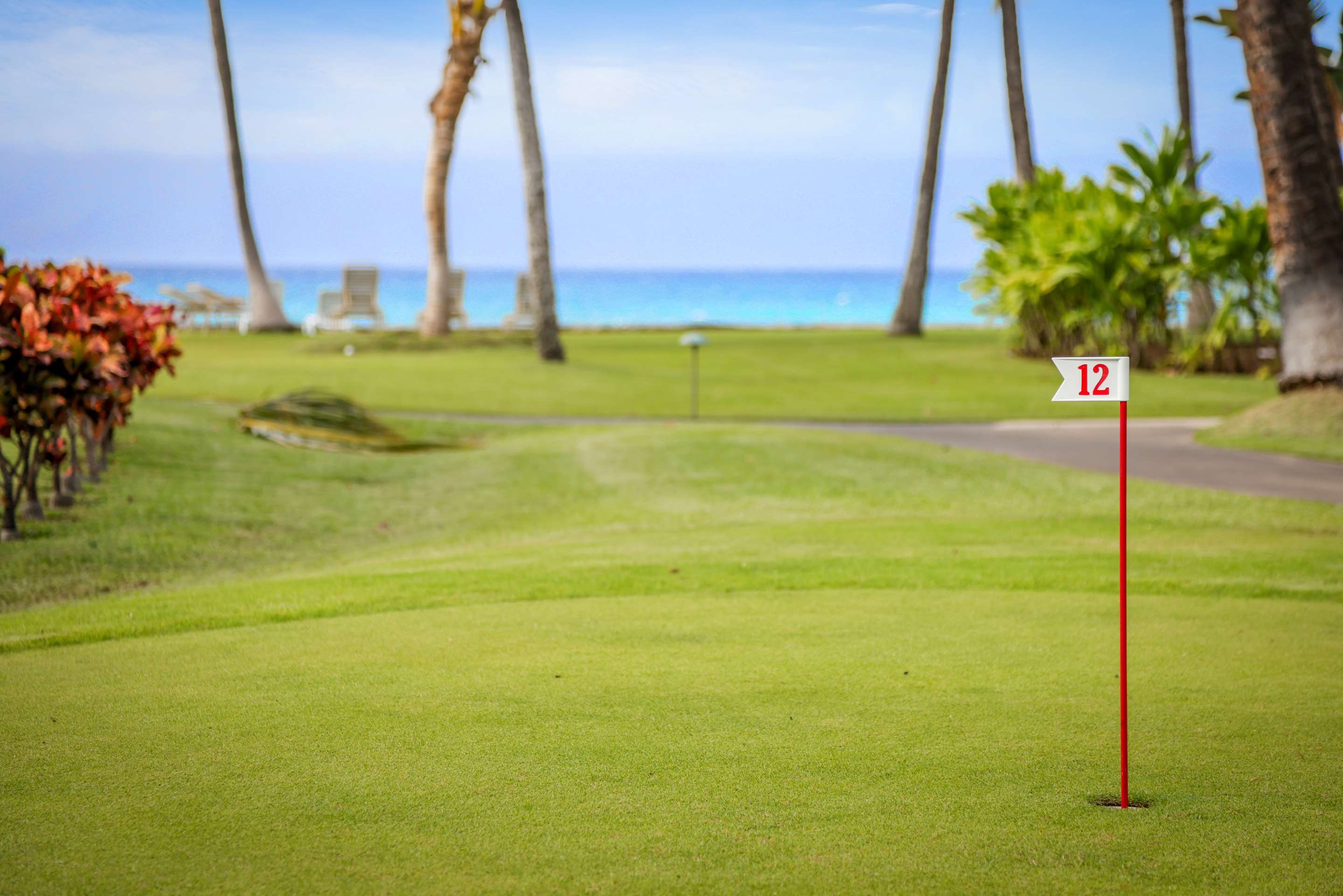 Aston Papakea Resort - Putting Green | AEI at Papakea Resort Maui