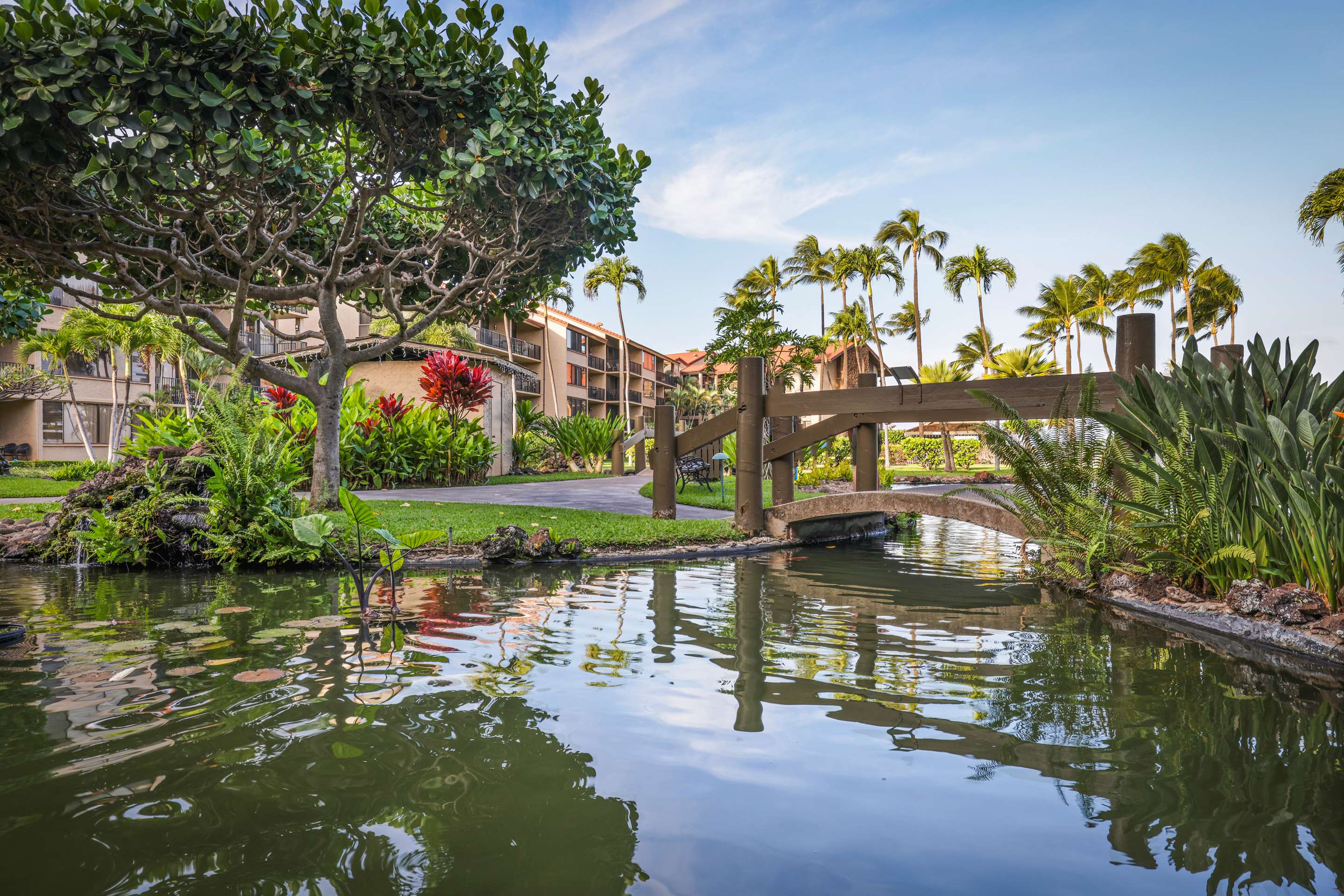 Aston Papakea Resort - Koi Pond | AEI at Papakea Resort Maui