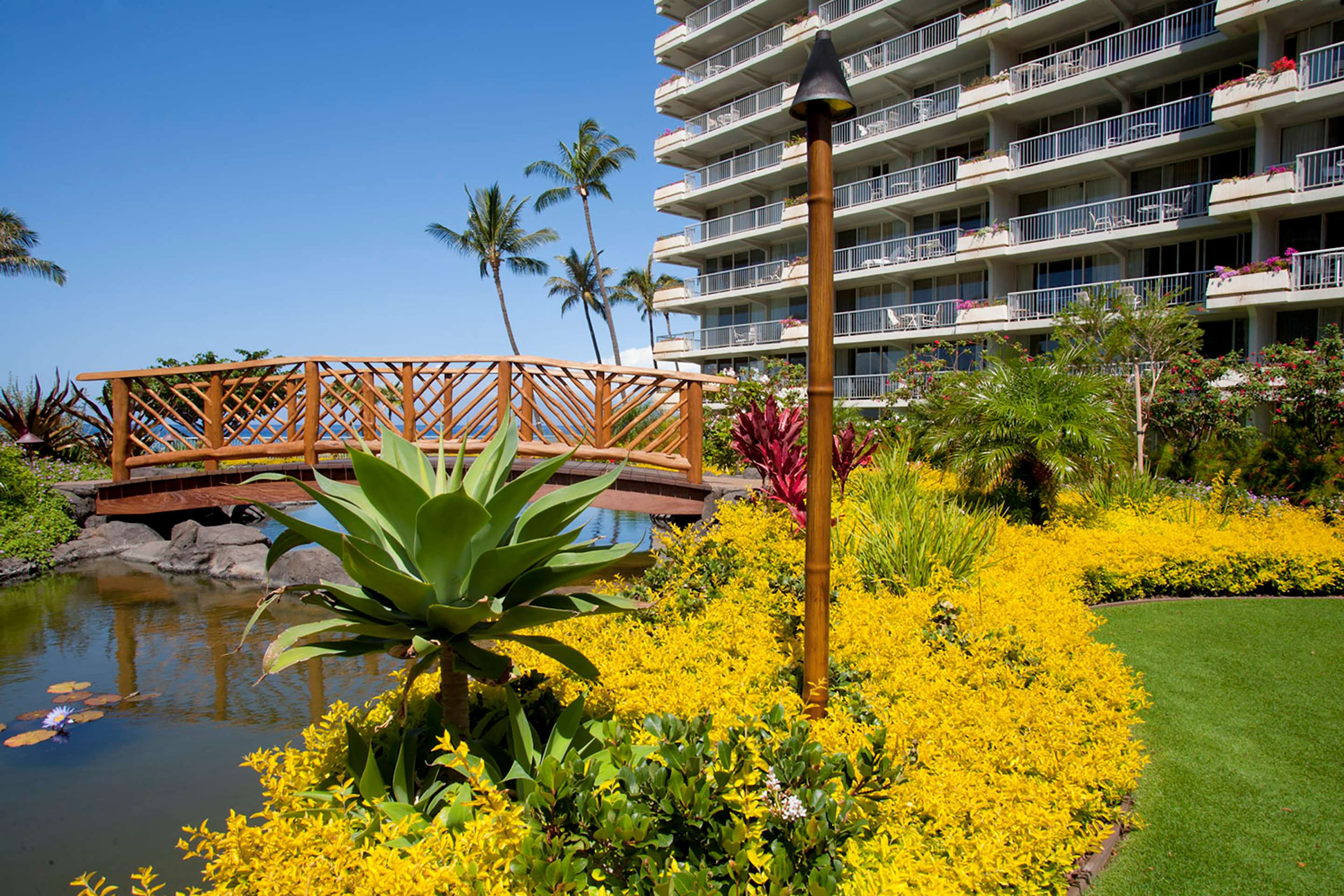 Aston at The Whaler on Kaanapali Beach - Exterior Courtyard | Aston at The Whaler on Kaanapali Beach