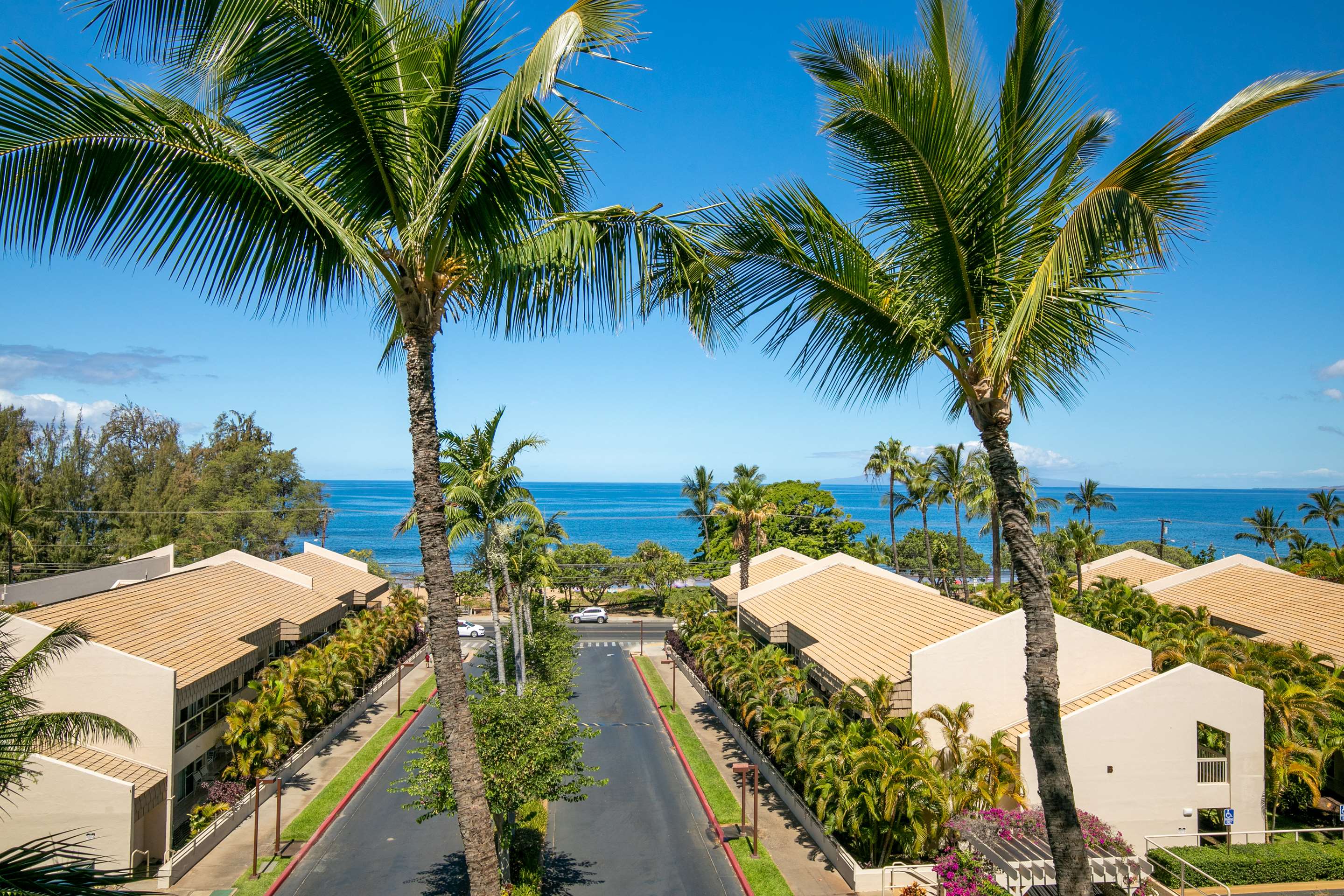 Aston at the Maui Banyan - Entryway | Aston at the Maui Banyan