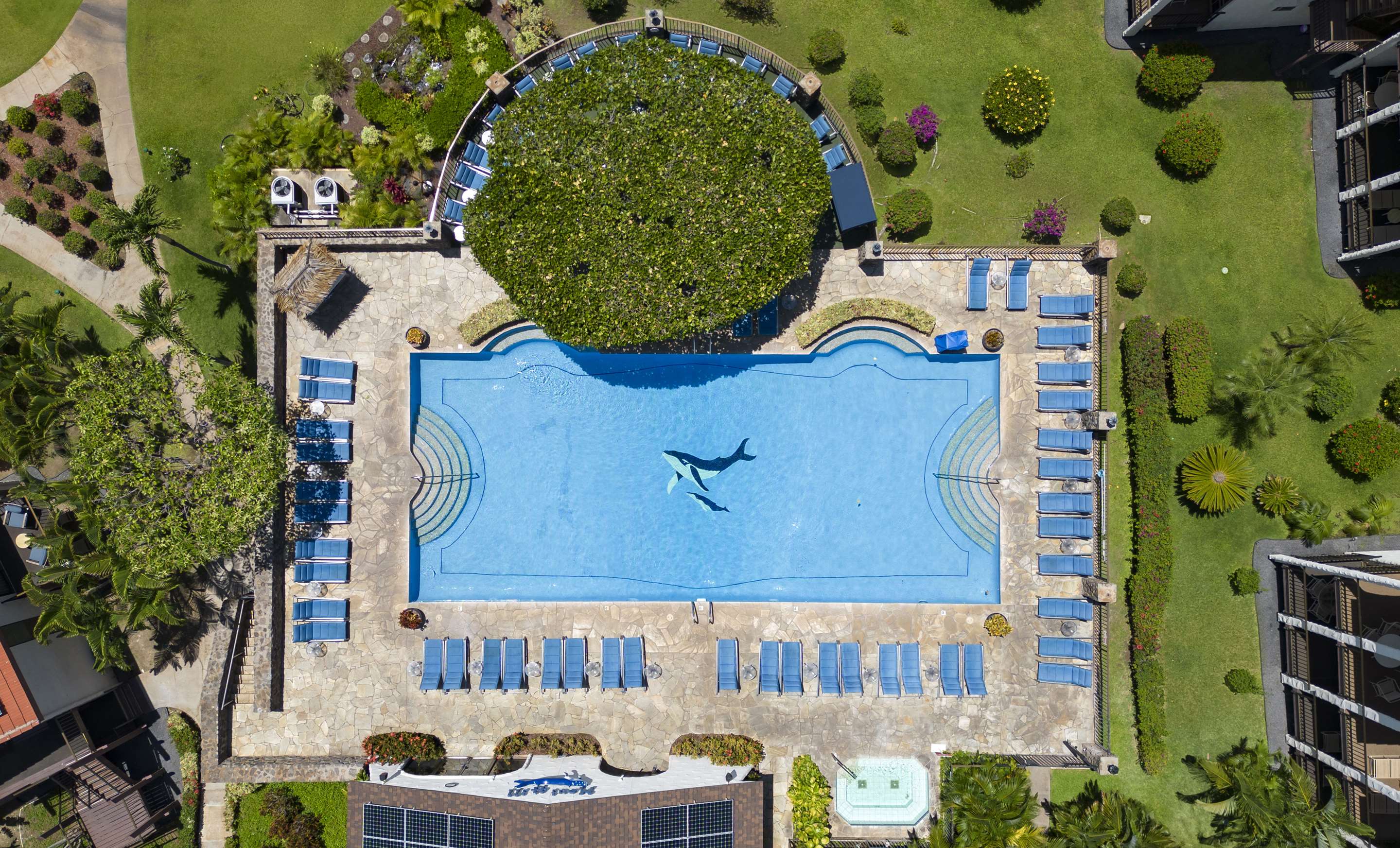 Aston Maui Hill Pool - Drone View | Aston Maui Hill
