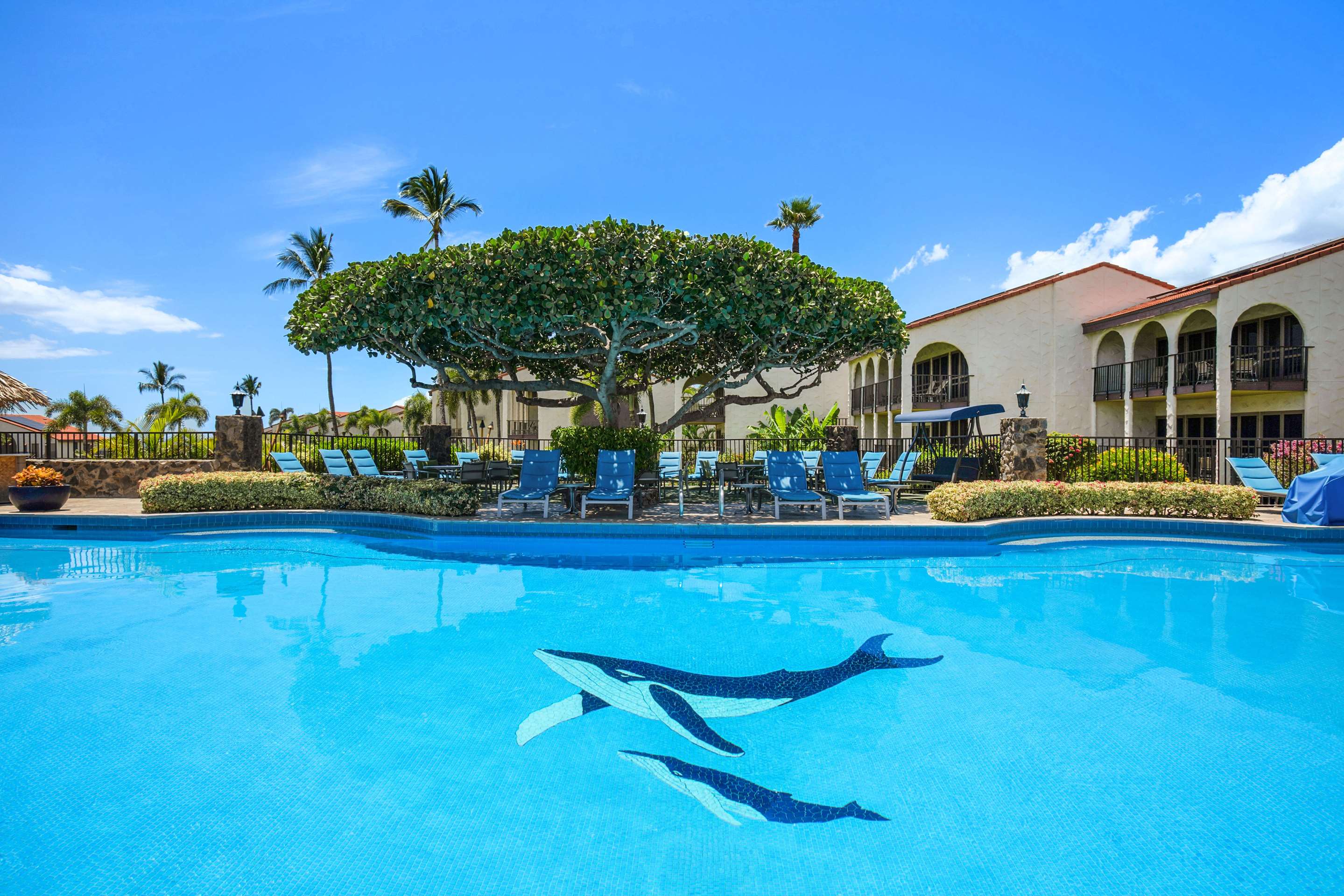 Aston Maui Hill - Pool Whale Symbol | Aston Maui Hill
