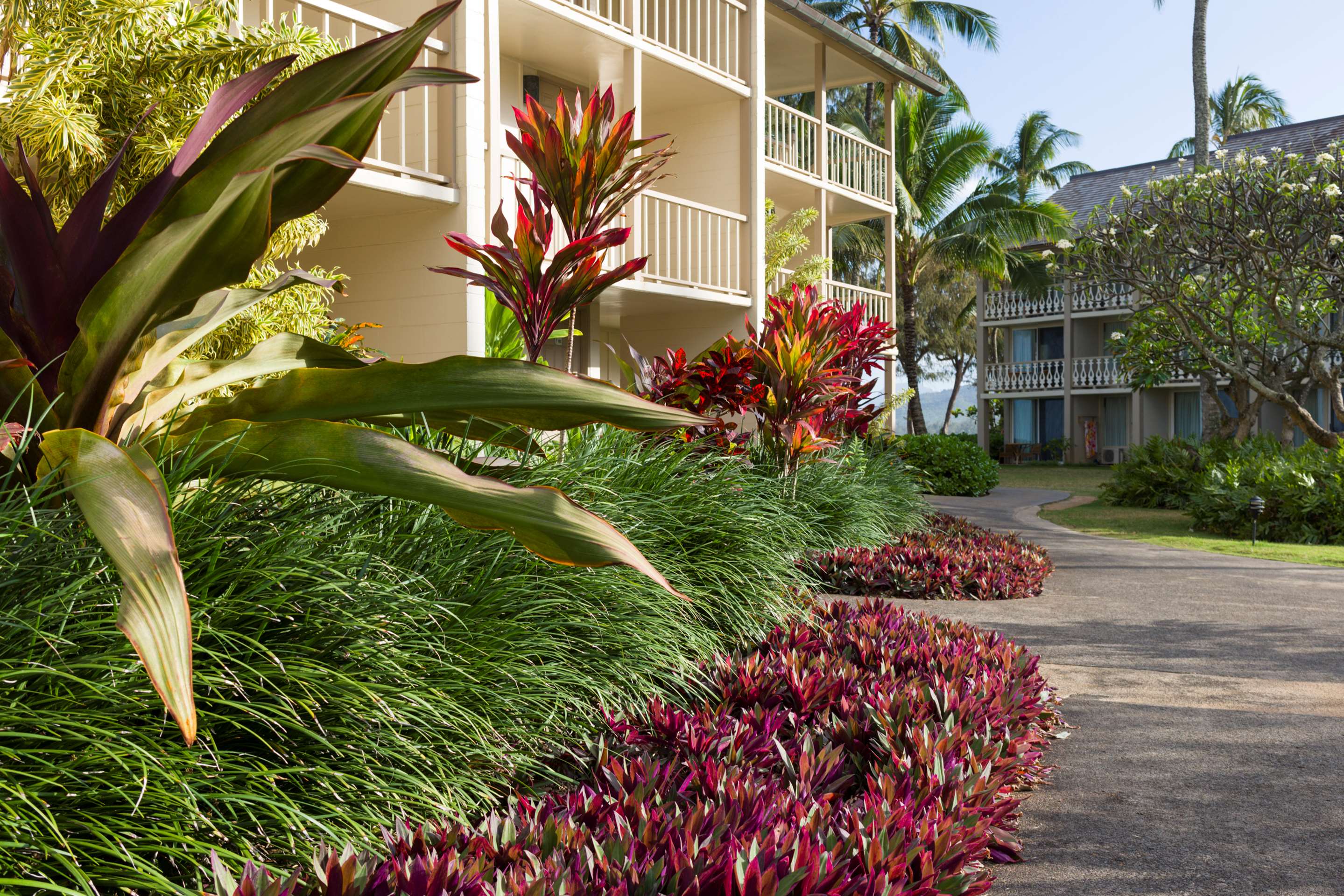 Aston Islander on the Beach - Exterior