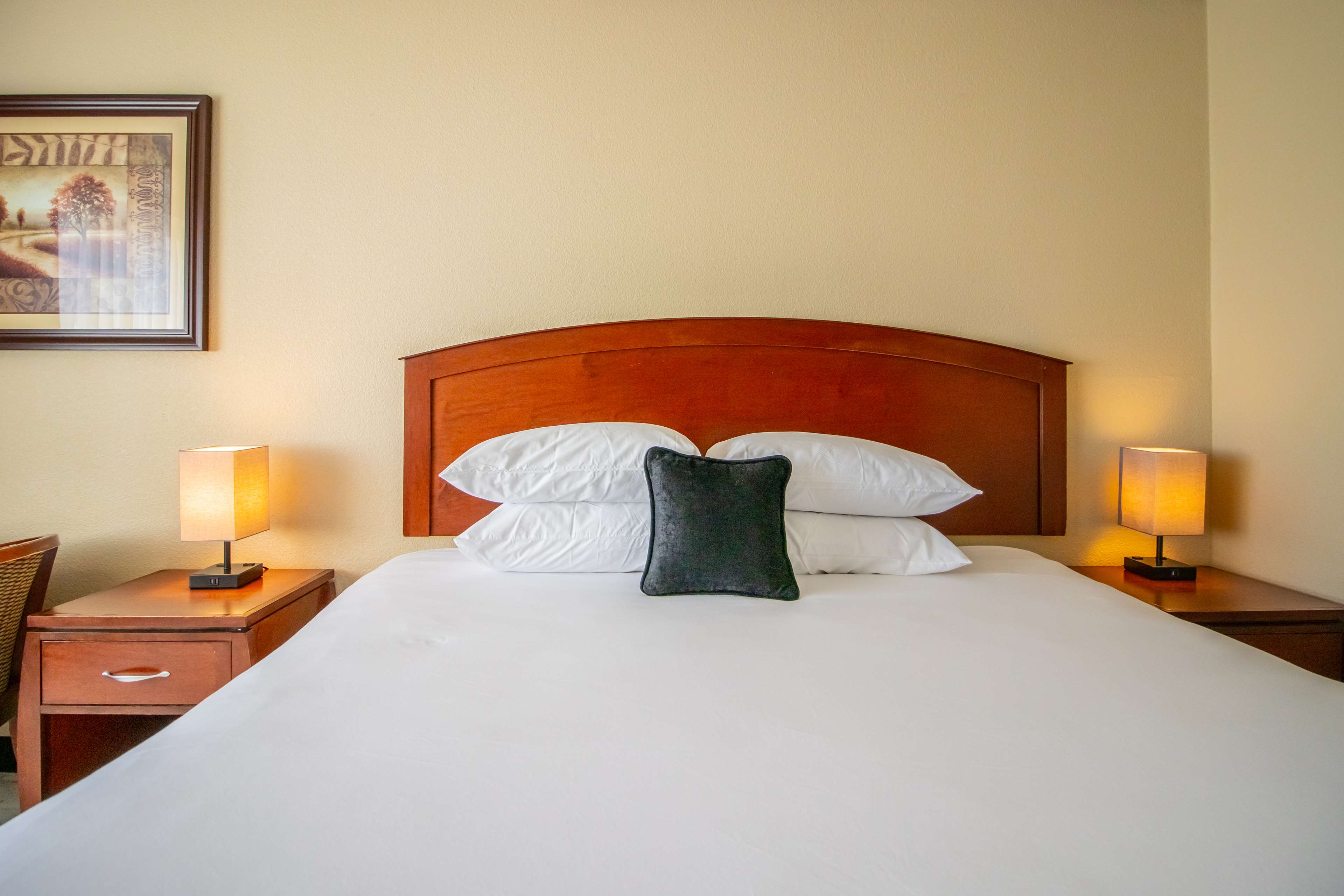 Executive Suite image