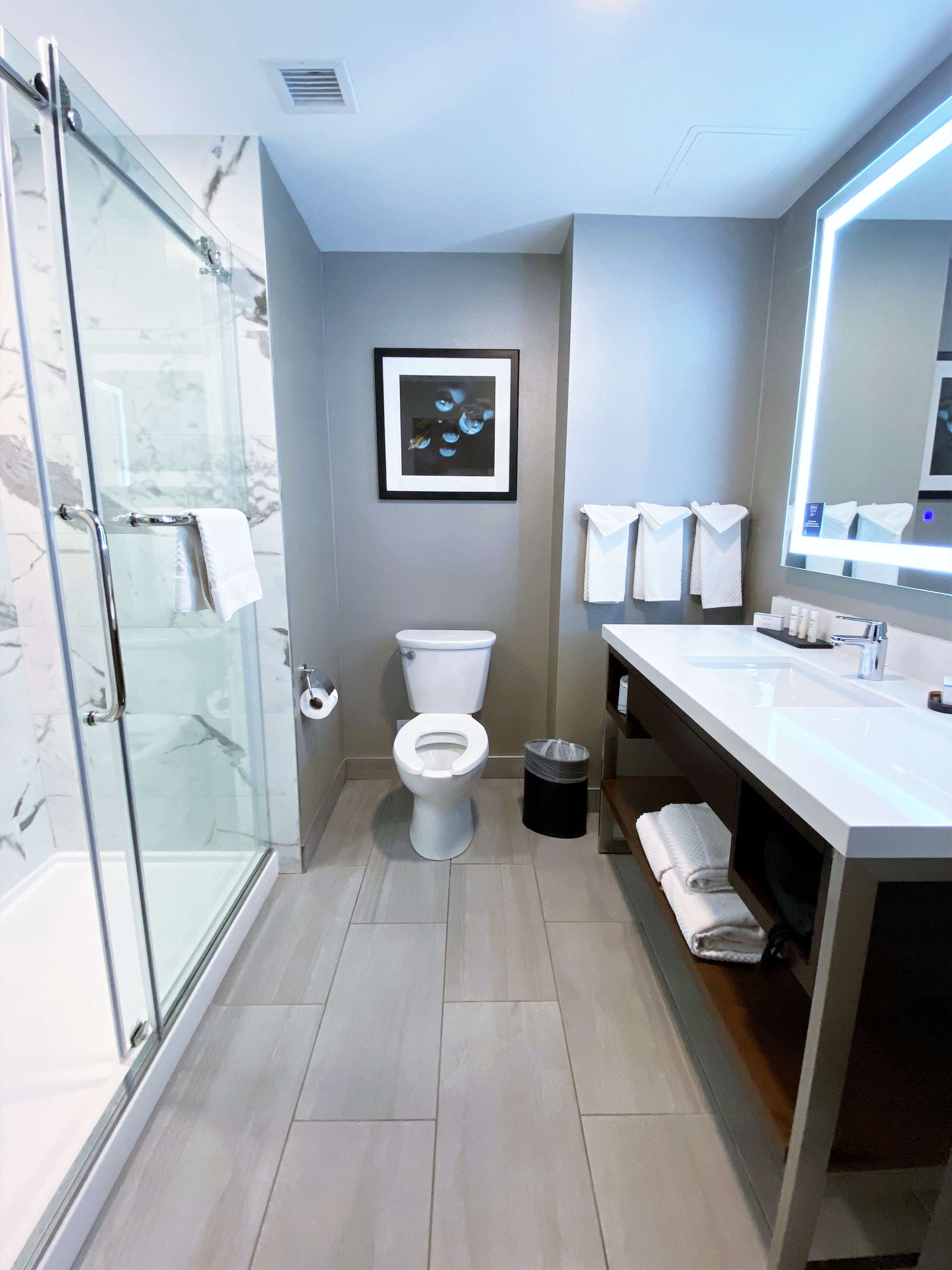Embassy Suites by Hilton Plainfield Indianapolis Airport Room Type - 1KG STUDIO STE ACC NO SMOK