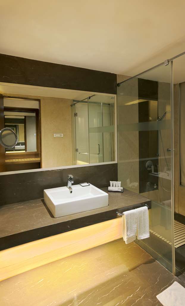 RADISSON UDAIPUR-guestroom-Guest Room,Bathroom,On-Site.jpg