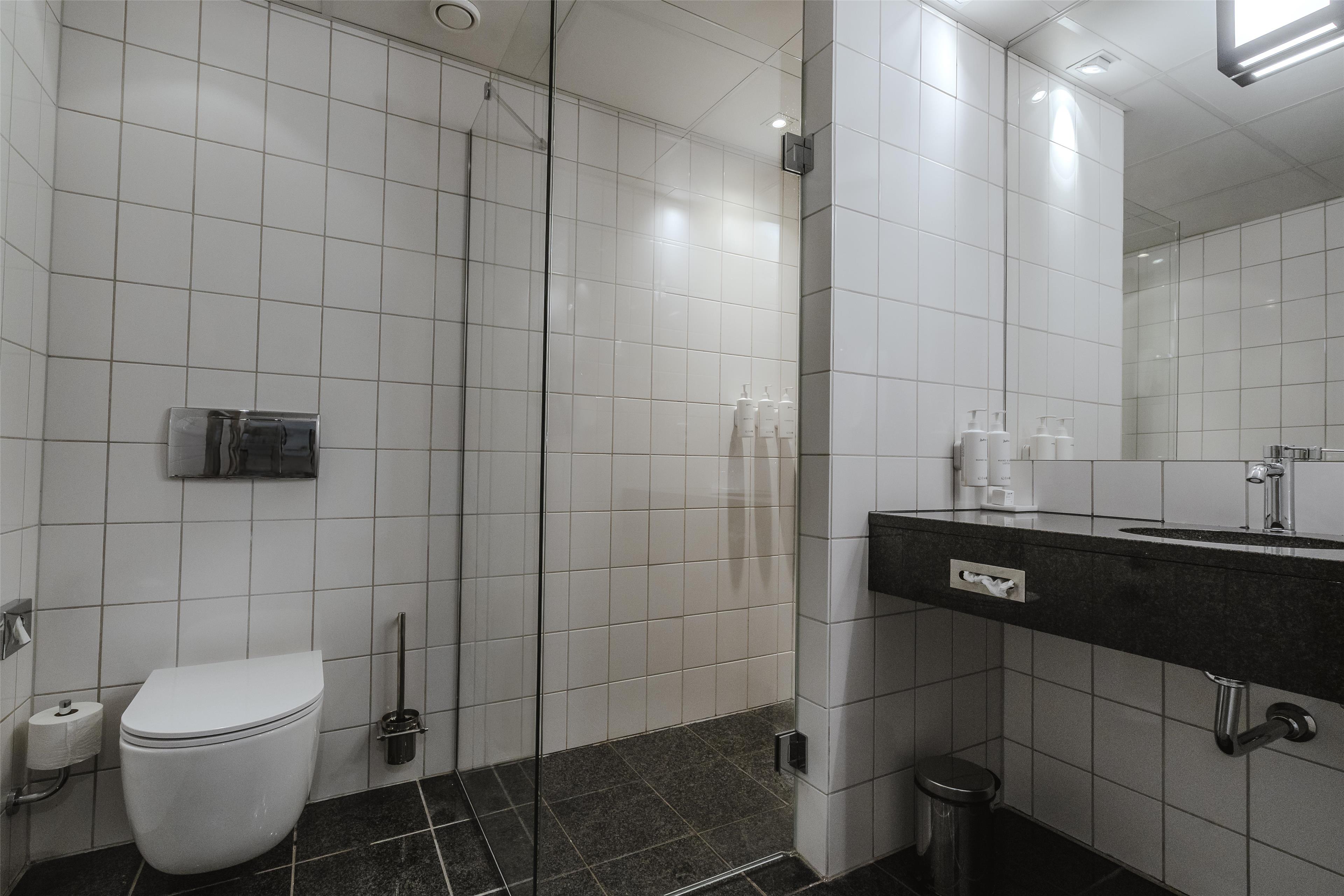 Radisson Hotel Papirfabrikken Silkeborg Room Type - Cosy Small Room