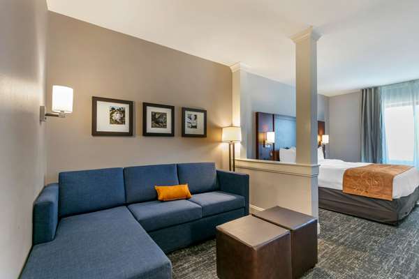 Suite - Comfort Suites Tupelo - I-22, Exit 86