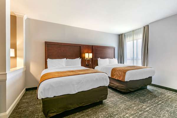 Suite - Comfort Suites Tupelo - I-22, Exit 86