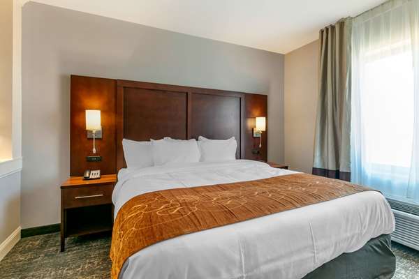 Suite - Comfort Suites Tupelo - I-22, Exit 86