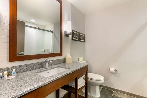 Suite - Comfort Suites Tupelo - I-22, Exit 86