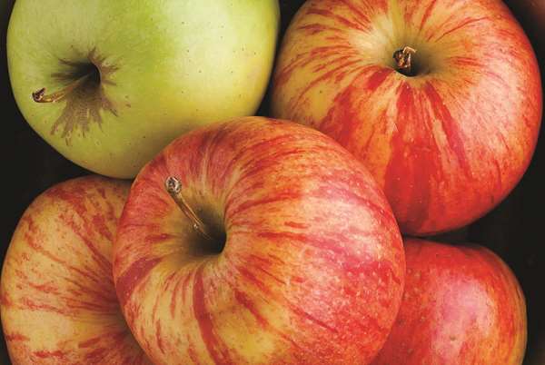  - La Quinta Inn & Suites Mobile - I-65, Exit 3