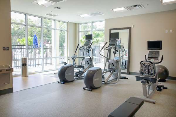 Fitness/ Exercise Room - Hilton Garden Inn Wesley Chapel - I-75, Exit 275