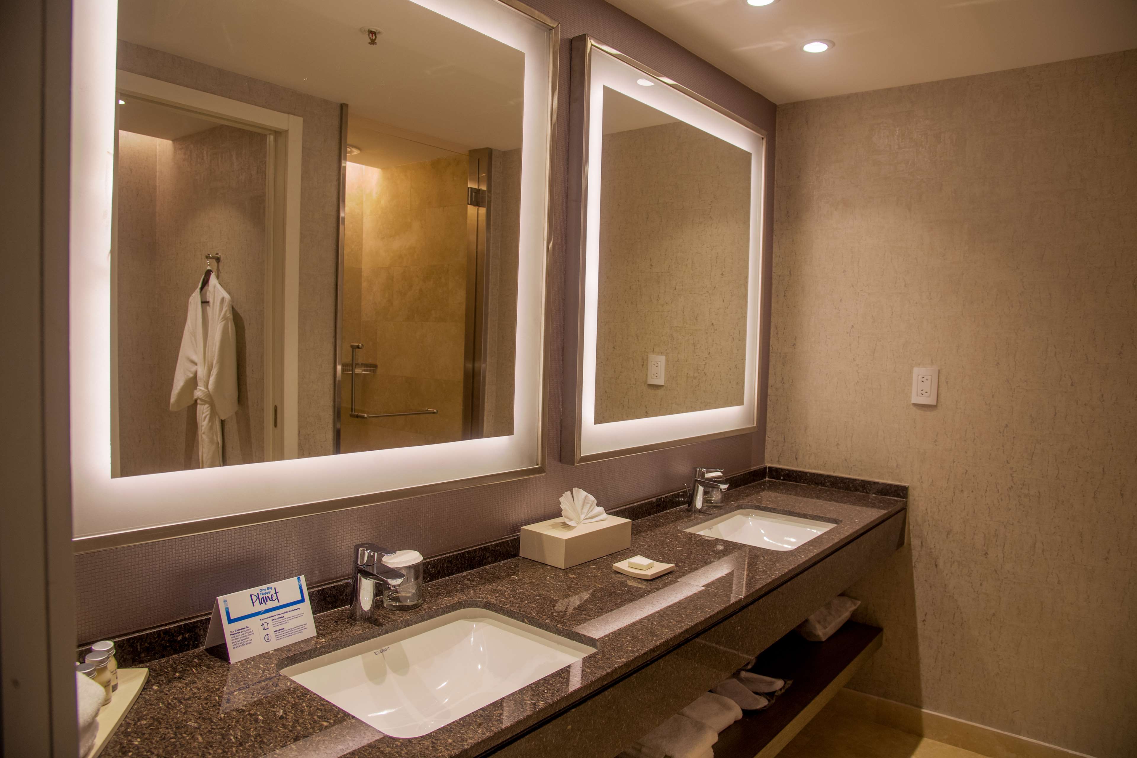 Hilton Pilar Room Type - DELUXE KING