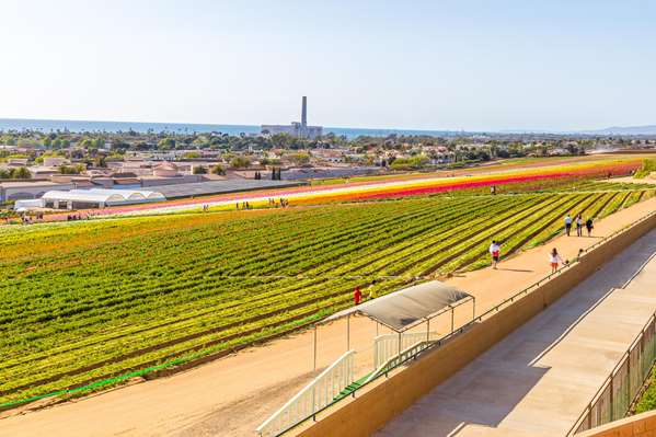 Exterior view - Grand Pacific Palisades Hotel & Resort Carlsbad - I-5, Exit 47