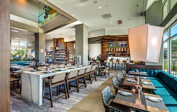 Bar - Legacy Hotel at IMG Academy Bradenton