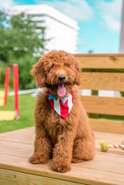  - Verdanza Hotel Isla Verde San Juan