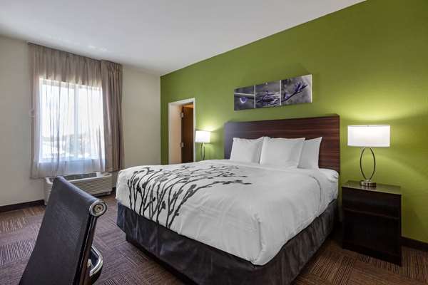 Suite - Sleep Inn & Suites Tampa