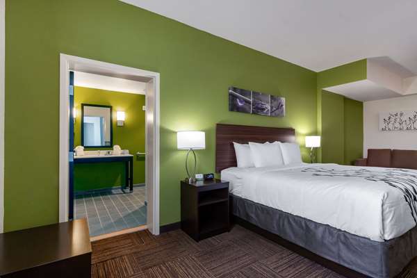 Suite - Sleep Inn & Suites Tampa