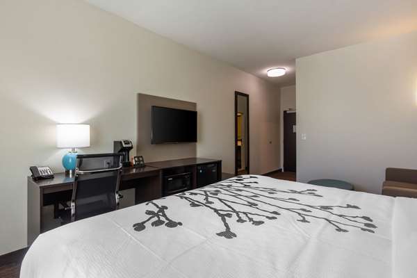 Suite - Sleep Inn & Suites Tampa