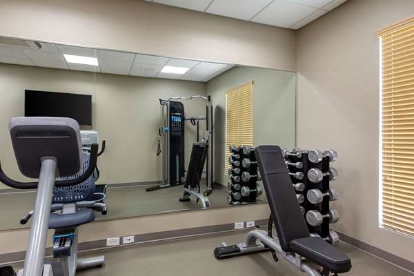 Fitness/ Exercise Room - Sleep Inn & Suites Tampa