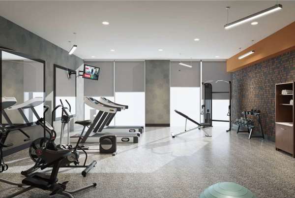 Fitness/ Exercise Room - La Quinta Inn & Suites Albany