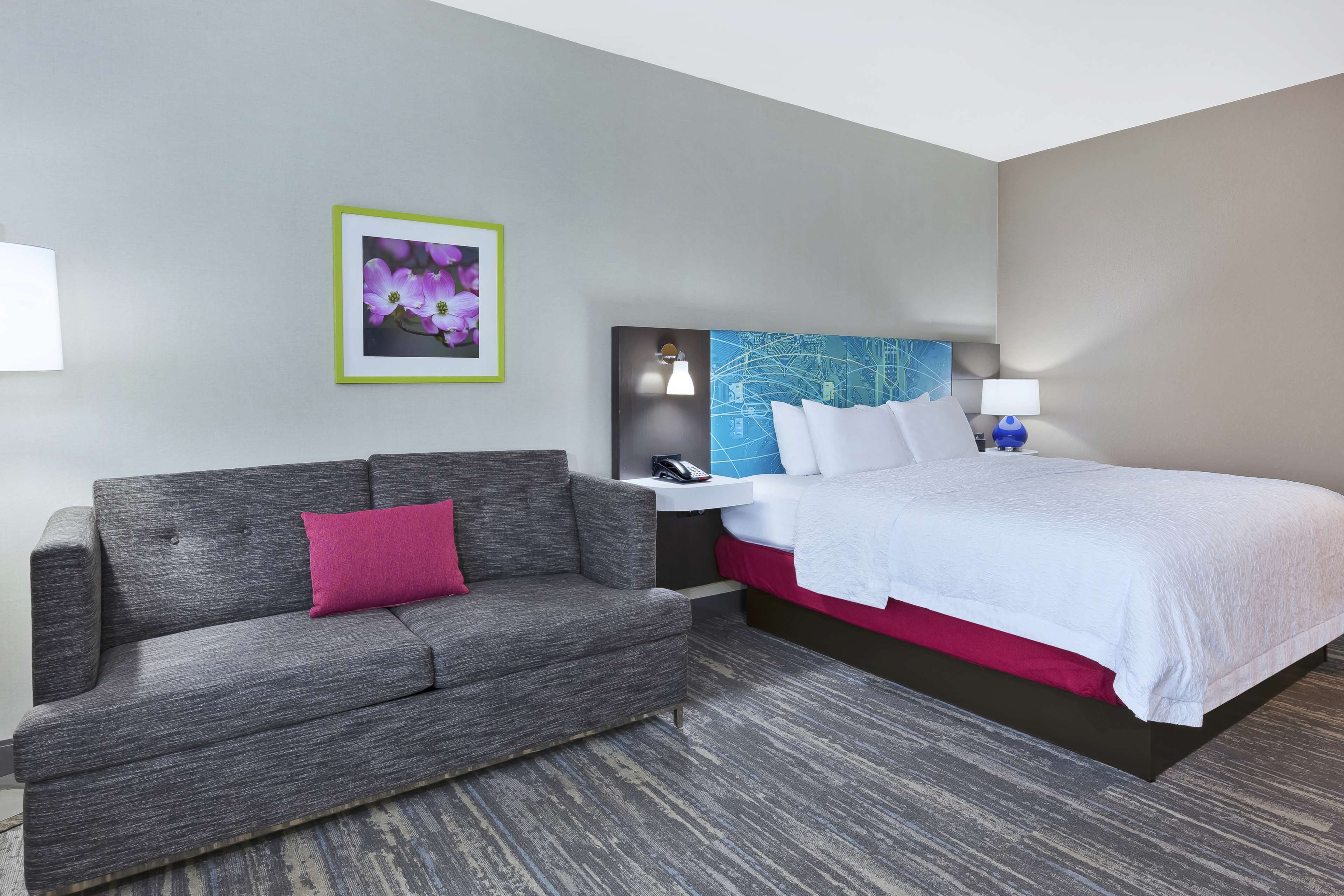 Hampton Inn by Hilton Sedalia Room Type - 1 KING SFBD MIC FRG NS