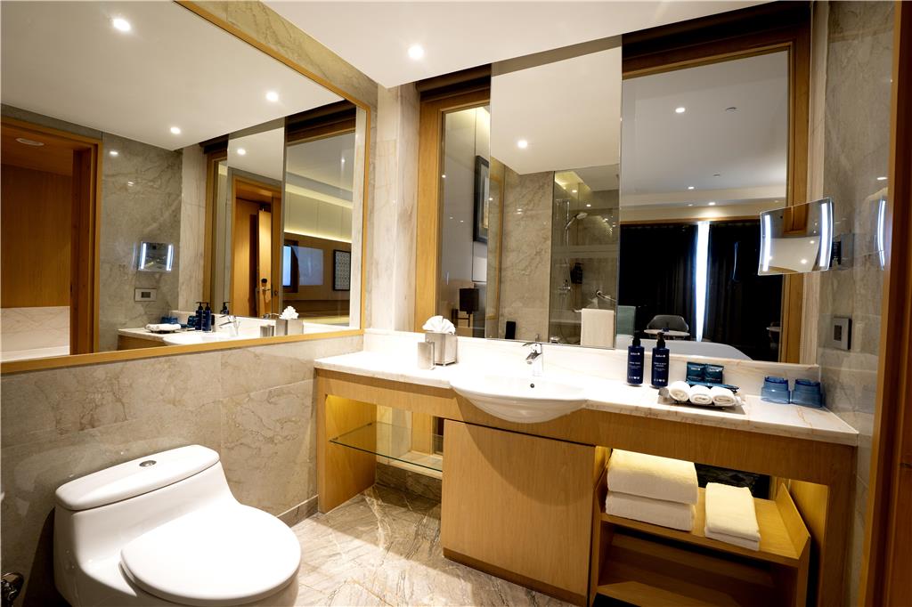 RADISSON BLU HOTEL AMRITSAR-guestroom-Guest Room,Bathroom,On-Site.jpg