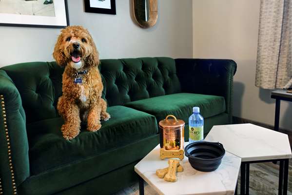  - Oxford Suites Paso Robles