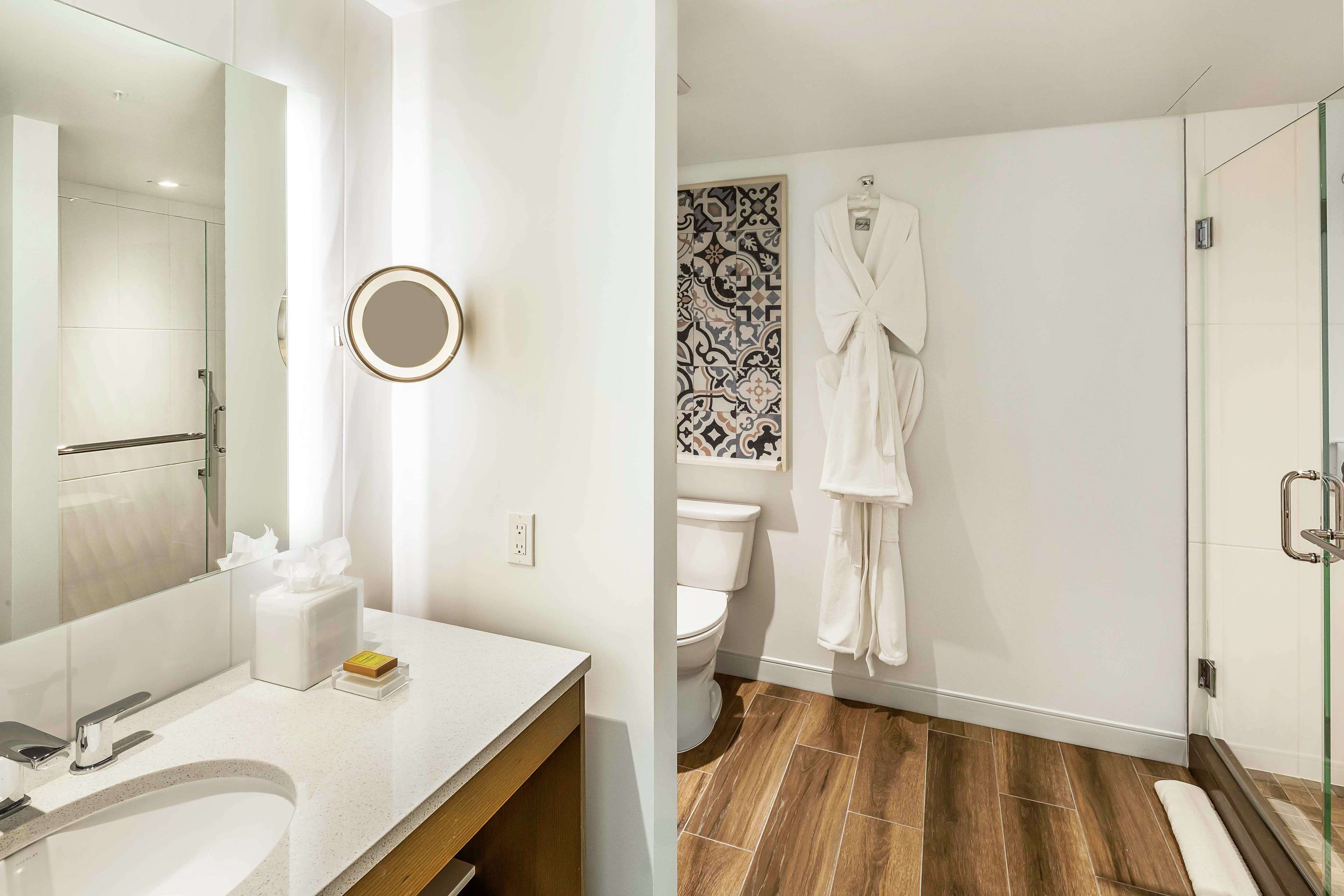 Hilton Miami Dadeland Room Type - 1 K LAKE VIEW DELUXE SUITE