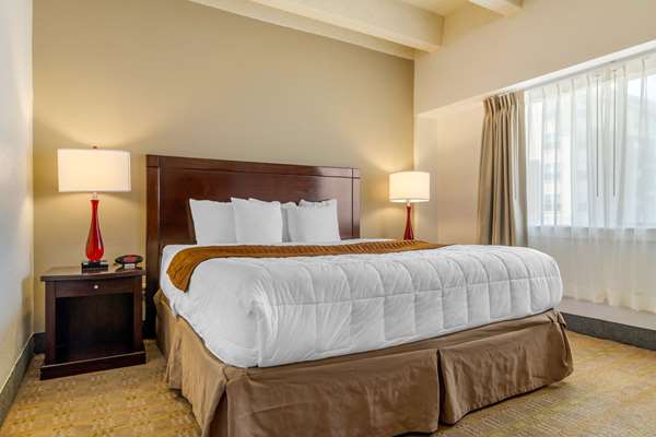 Suite - Quality Inn Downtown Denver - I-25, Exit 212