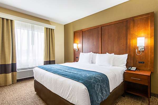 - Comfort Inn & Suites Pine Bluff - I-530, Exit 39