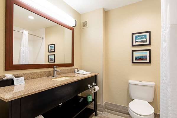  - Comfort Inn & Suites Pine Bluff - I-530, Exit 39