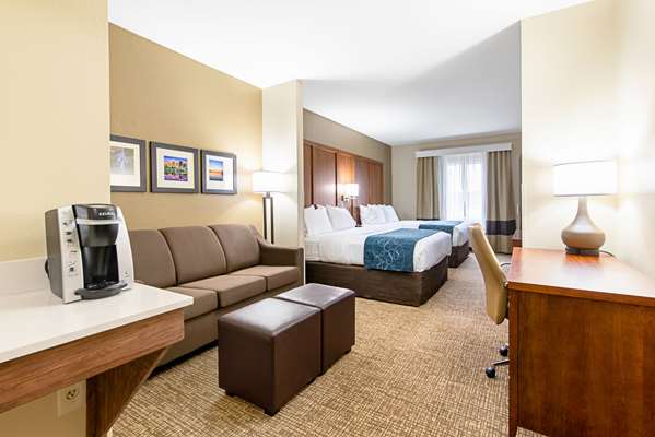  - Comfort Inn & Suites Pine Bluff - I-530, Exit 39