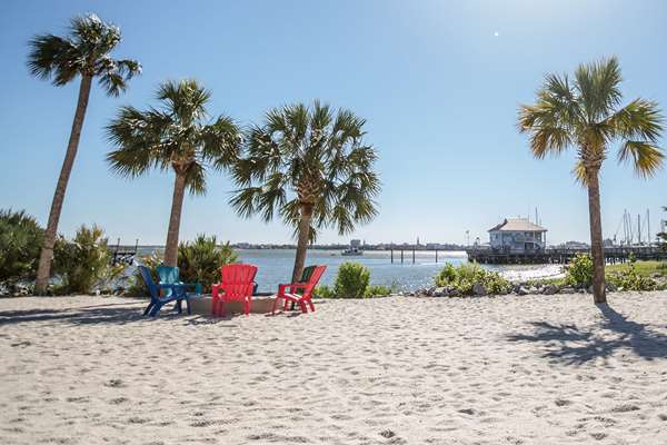 Beach - Harborside at Charleston Harbor Resort & Marina Mt Pleasant