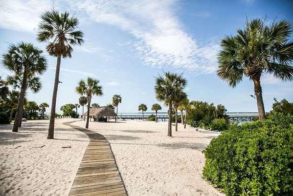 Beach - Harborside at Charleston Harbor Resort & Marina Mt Pleasant