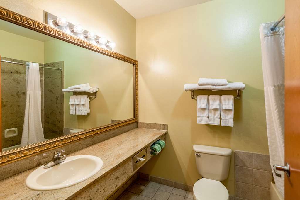 SureStay Plus by Best Western Mesquite-guestroom-Guest Room,Bathroom,On-Site.jpg