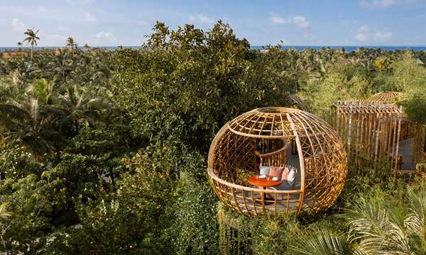 WALDORF ASTORIA MALDIVES - Photo 29