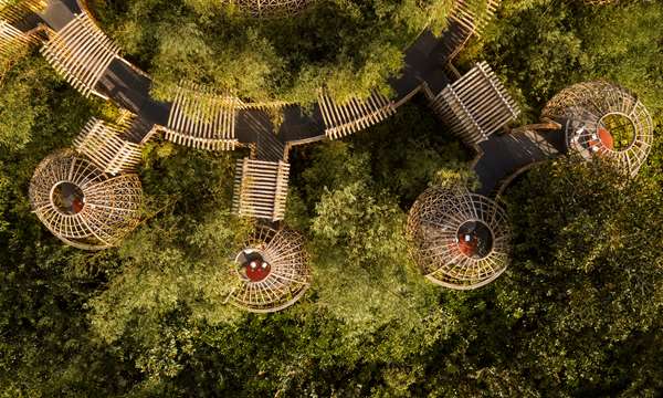 WALDORF ASTORIA MALDIVES - Photo 28