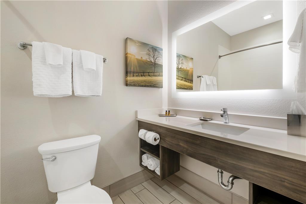 Best Western Plus Elizabethtown Inn & Suites-guestroom-Guest Room,Bathroom,On-Site.jpg
